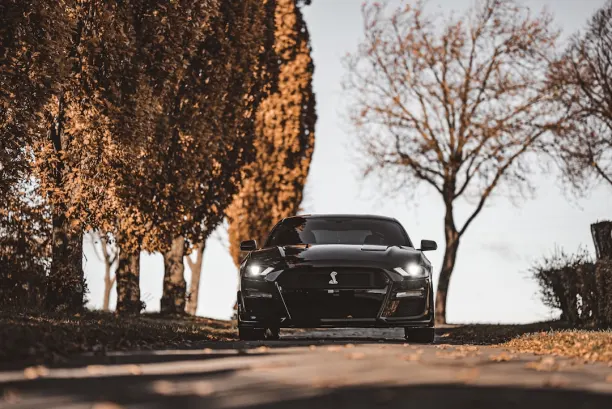 Kasyno Lion Wins Aplikacja Android/iOS